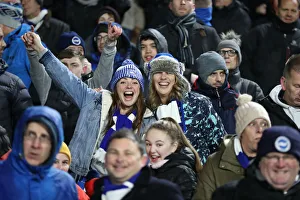 Intense Premier League Showdown: Fulham vs. Brighton and Hove Albion at Craven Cottage (29 JAN 19)