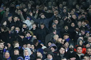 Intense Premier League Showdown: Fulham vs. Brighton and Hove Albion at Craven Cottage (29 JAN 19)
