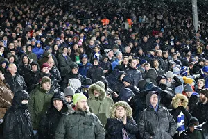 Intense Premier League Showdown: Fulham vs. Brighton and Hove Albion at Craven Cottage (29 JAN 19)