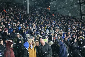 Intense Premier League Showdown: Fulham vs. Brighton and Hove Albion at Craven Cottage (29 JAN 19)