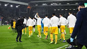 Intense Premier League Showdown: Fulham vs. Brighton and Hove Albion at Craven Cottage (29 JAN 19)