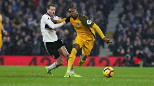 Intense Premier League Showdown: Fulham vs. Brighton and Hove Albion (29 JAN 19)