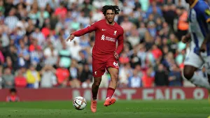 Intense Premier League Showdown: Liverpool vs. Brighton & Hove Albion at Anfield (1st October 2022)