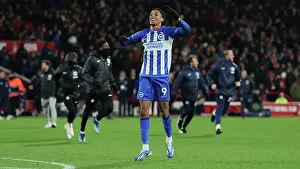 Victory Prints: Intense Premier League Showdown: Nottingham Forest vs. Brighton and Hove Albion (25NOV23)