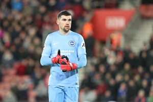 Intense Premier League Showdown: Southampton vs. Brighton and Hove Albion at St Mary's Stadium (31JAN18)