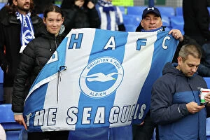Images Dated 4th November 2023: Intense Rivalry: Everton vs. Brighton and Hove Albion at Goodison Park (2023/24 Season)
