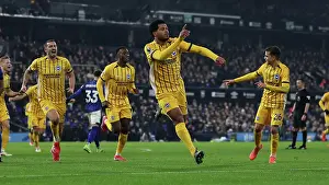 Ipswich Town 16JAN25 Prints: Ipswich Town v Brighton and Hove Albion Premier League 16JAN25
