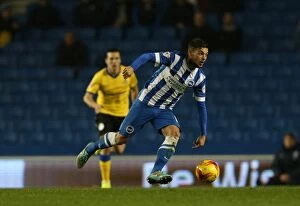 Images Dated 4th November 2014: Jake Forster-Caskey in Action: Brighton & Hove Albion vs Wigan Athletic