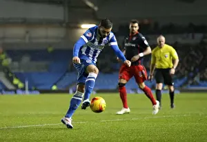 Jake Forster-Caskey in Action: Brighton & Hove Albion vs. Reading, American Express Community Stadium (December 2014)