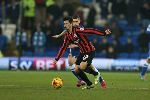 Cardiff City Prints: Joao Carlos Teixeira in Action for Brighton Against Cardiff City, 10th February 2015