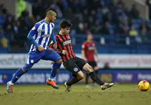 Sheffield Wednesday 14FEB15 Prints: Joao Carlos Teixeira in Action: Brighton Midfielder Battles it Out against Sheffield Wednesday