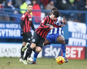 Images Dated 14th February 2015: Joao Carlos Teixeira in Action: Sheffield Wednesday vs. Brighton and Hove Albion, 14 February 2015