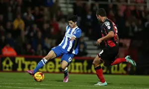 Joao Teixeira in Action at American Express Community Stadium: Brighton and Hove Albion vs Bournemouth, SkyBet Championship (1st November 2014)
