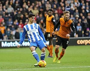 Images Dated 20th December 2014: Joao Teixeira in Action: Wolverhampton Wanderers vs. Brighton and Hove Albion