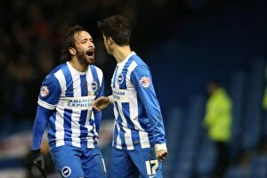 Images Dated 21st January 2015: Joao Teixeira's Double: Brighton & Hove Albion vs Ipswich Town