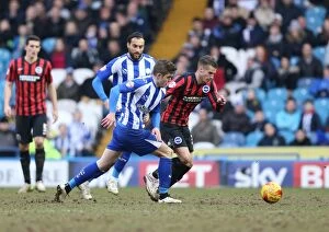 Images Dated 14th February 2015: Joe Bennett in Action: Sheffield Wednesday vs. Brighton & Hove Albion