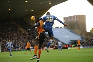 Images Dated 20th December 2014: Joe Bennett of Brighton and Hove Albion Faces Off Against Wolverhampton Wanderers in Sky Bet