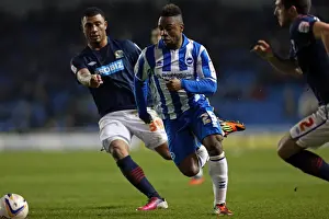 Blackburn Rovers - 12-02-2013 Prints: Kazenga LuaLua: In Action for Brighton & Hove Albion Against Blackburn Rovers