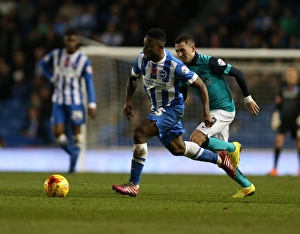 Blackburn Rovers 08NOV14 Prints: Kazenga LuaLua in Action: Brighton & Hove Albion vs