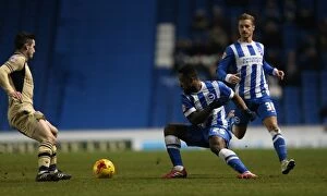 Images Dated 24th February 2015: Kazenga LuaLua in Action: Brighton & Hove Albion vs Leeds United, Sky Bet Championship 2015