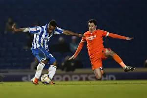 Millwall - 18-12-2012 Prints: Kazenga LuaLua's Goal: Brighton & Hove Albion Trail Behind Millwall in Npower Championship Clash (12-12-2012)