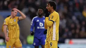Looks Frustrated Prints: Leicester City v Brighton and Hove Albion Premier League 08DEC24