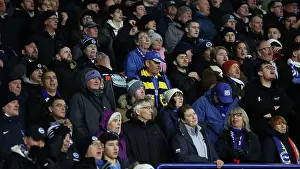 Leicester City v Brighton and Hove Albion Premier League 08DEC24