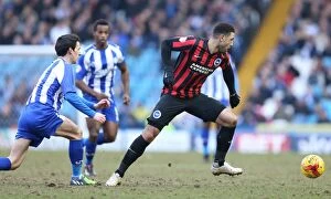 Images Dated 14th February 2015: Leon Best in Action: Sheffield Wednesday vs. Brighton & Hove Albion
