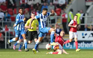 Leon Best Prints: Leon Best Scored for Brighton Against Rotherham United in Championship Match, April 2015