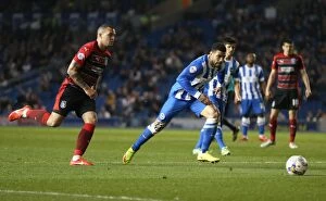 Images Dated 14th April 2015: Leon Best Scores the Winning Goal for Brighton & Hove Albion Against Huddersfield Town (14APR15)
