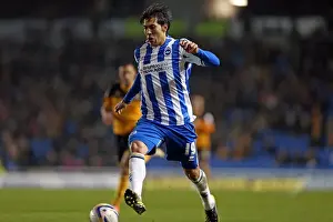 Hull City - 09-02-2013 Prints: Leonardo Ulloa's Determination: Brighton & Hove Albion vs Hull City