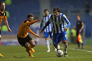 Hull City - 09-02-2013 Prints: Leonardo Ulloa's Focus: Brighton & Hove Albion vs Hull City