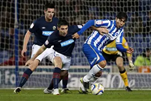 Blackburn Rovers - 12-02-2013 Prints: Leonardo Ulloa's Thrilling Performance: Brighton & Hove Albion vs Blackburn Rovers