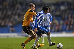 Hull City - 09-02-2013 Prints: Leonardo Ulloa's Thrilling Performance: Brighton & Hove Albion vs Hull City