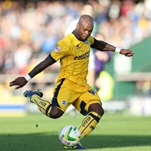 Yeovil Town 19-10-2013 Collection: Leroy Lita