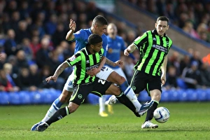 Peterborough United - 16-04-2013 Prints: Liam Bridcutt in Action: Brighton & Hove Albion vs