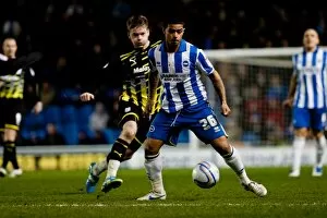 Images Dated 7th March 2012: Liam Bridcutt during Brighton & Hove Albion v Cardiff City v Npower Championship