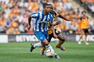 Images Dated 18th August 2012: Liam Bridcutt Hull City Brighton HA 120818