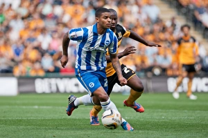 Hull City - 18-08-2012 Collection: Liam Bridcutt Hull City Brighton HA 120818