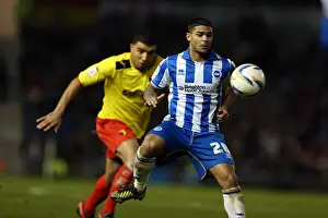 Watford - 29-12-2012 Prints: Liam Bridcutt's Intense Performance: Brighton & Hove Albion vs