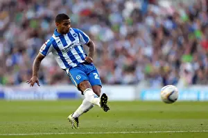 Event:bha 120929 Prints: Liam Bridcutt's Unyielding Performance: Brighton & Hove Albion vs Birmingham City