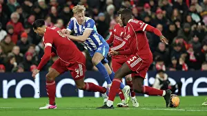 Liverpool 14FEB26 Prints: Liverpool v Brighton and Hove Albion
FA Cup
14FEB26