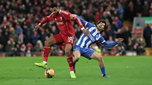 Pain Prints: Liverpool v Brighton and Hove Albion
FA Cup
14FEB26