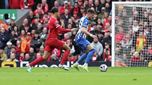 Liverpool Defender Virgil Van Dijk 4 Prints: Liverpool v Brighton and Hove Albion Premier League 31MAR24