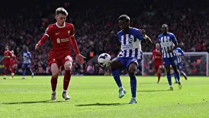 Liverpool Defender Conor Bradley 84 Prints: Liverpool v Brighton and Hove Albion Premier League 31MAR24