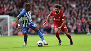 Liverpool Forward Mohamed Salah 11 Prints: Liverpool v Brighton and Hove Albion Premier League 31MAR24