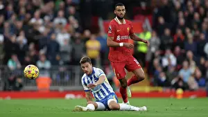 Liverpool v Brighton and Hove Albion Premier League DDMMMYY