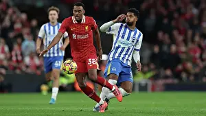 Liverpool 02NOV24 Prints: Liverpool v Brighton and Hove Albion Premier League DDMMMYY