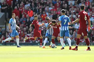 Liverpool vs. Brighton & Hove Albion: Intense Premier League Clash at Anfield on 13May18