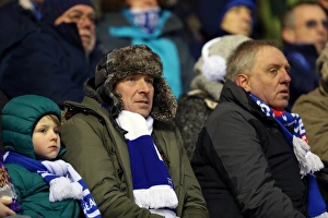 Birmingham City - 19-01-2013 Prints: A Look Back: Brighton & Hove Albion vs